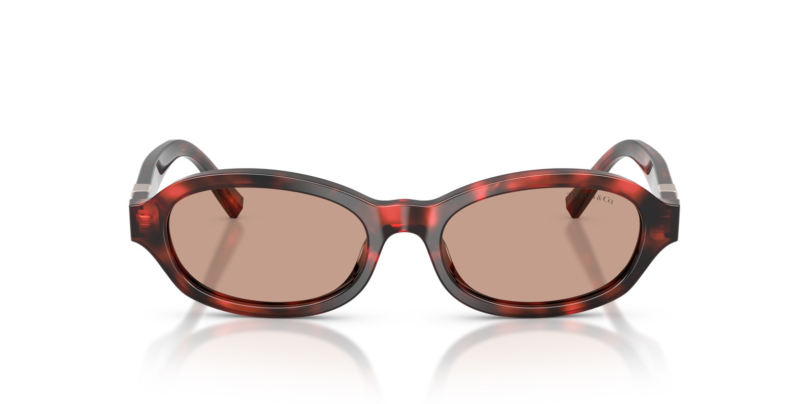 Tiffany & Co. TF4270U Havana Rubino - Havana Rubino - Ottica Scarpati