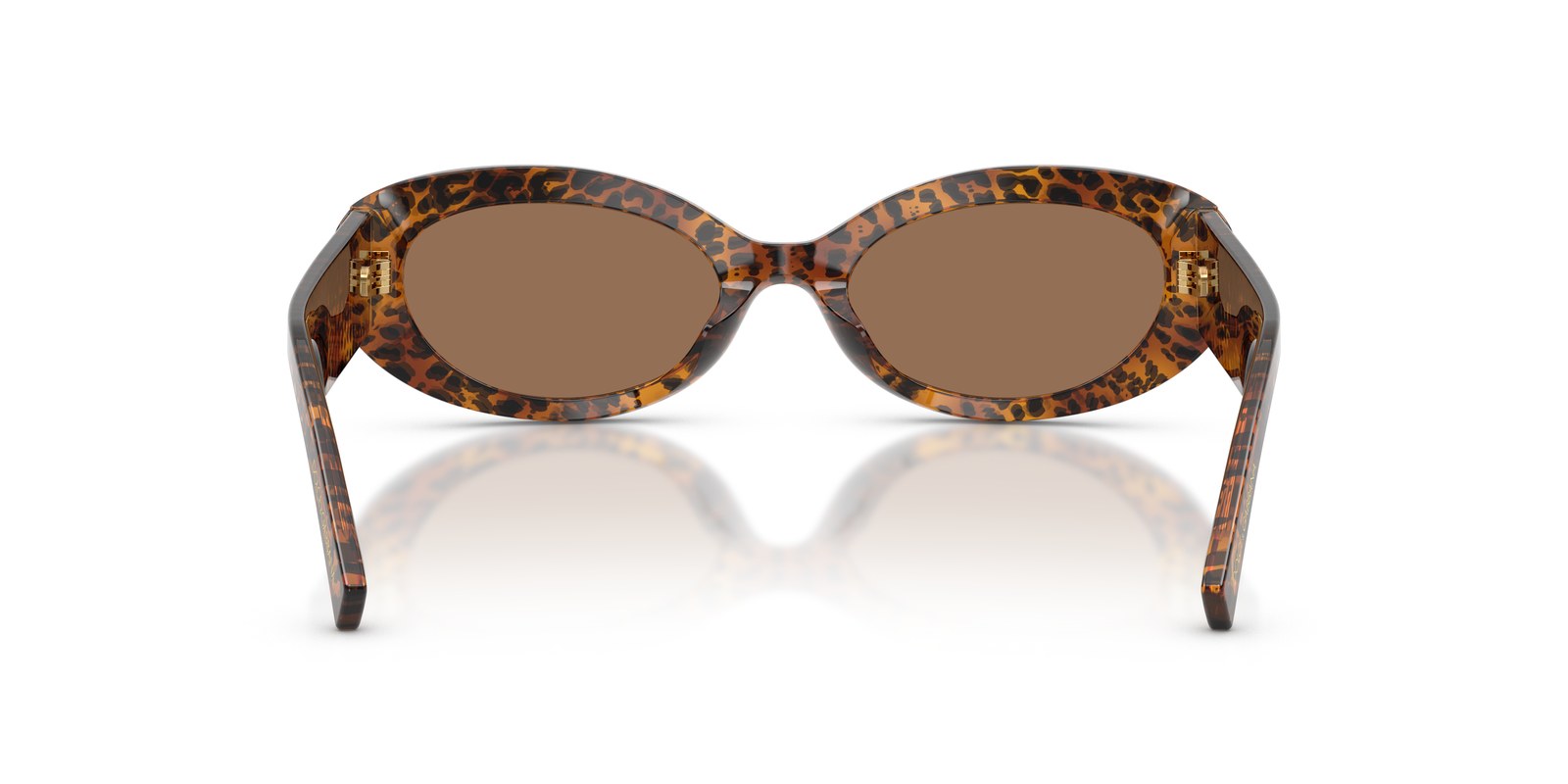 Dolce & Gabbana DG4537 Leopardato Trasparente - Leopardato Trasparente - Ottica Scarpati