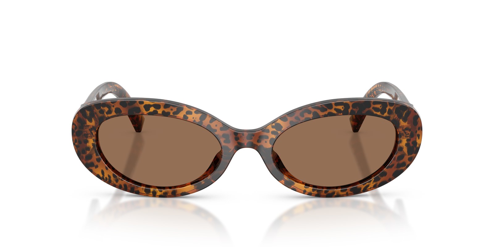 Dolce & Gabbana DG4537 Leopardato Trasparente - Leopardato Trasparente - Ottica Scarpati
