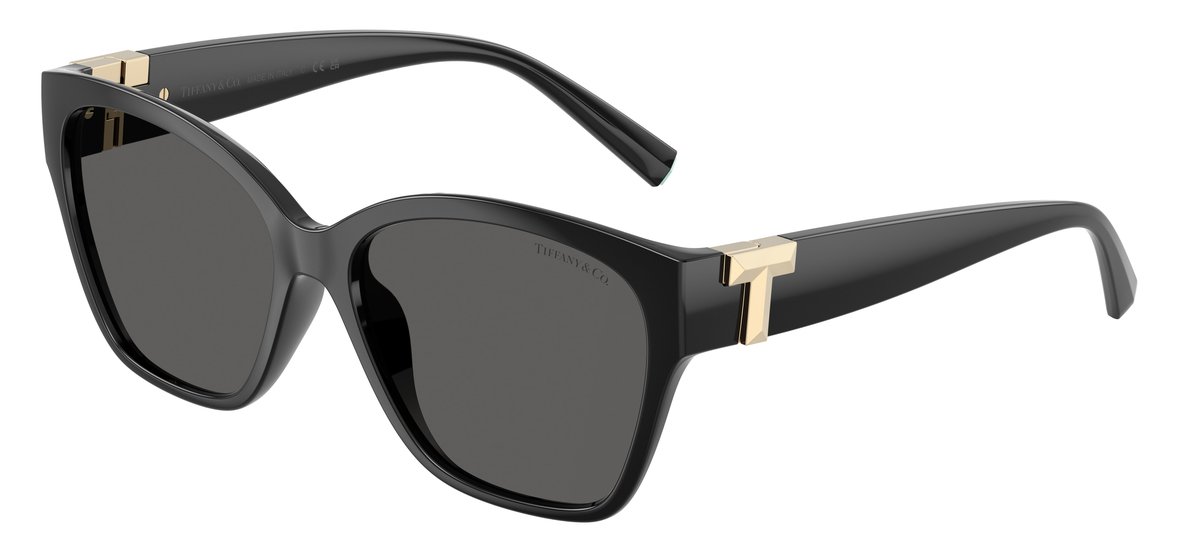 Tiffany & Co. TF4254U Nero