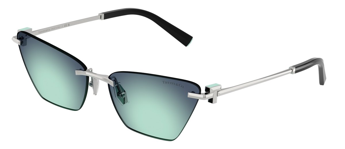 Tiffany & Co. TF3120 Argento