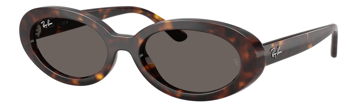 Ray-Ban RB2223 Havana