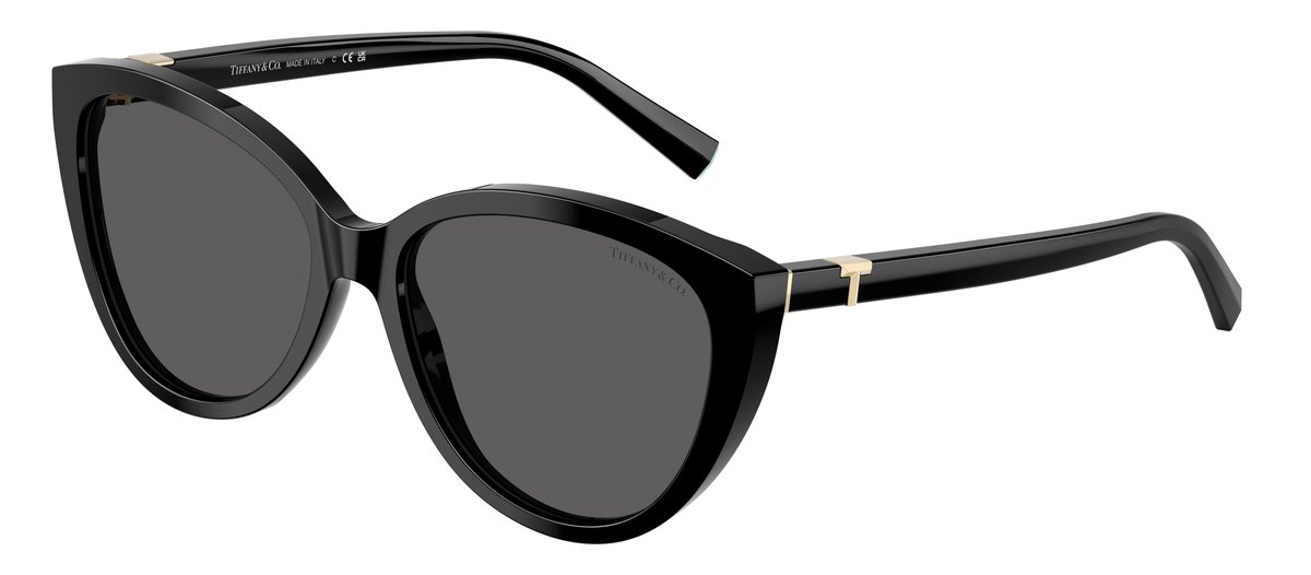 Tiffany & Co. TF4251 Nero