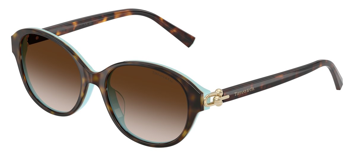 Tiffany & Co. TF4263D Havana su blu Tiffany