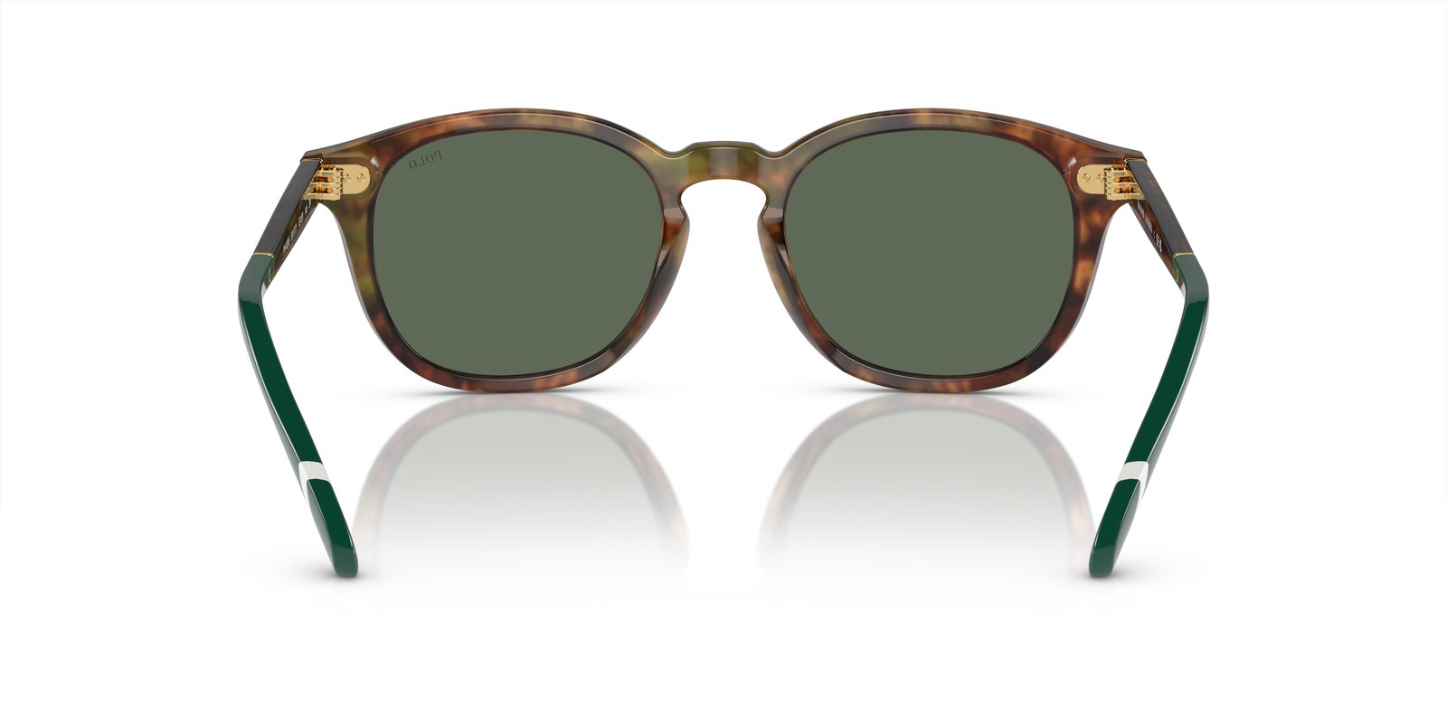 Polo Ralph Lauren PH4206 Marrone Tartarugato Brillante - Marrone Tartarugato Brillante - Ottica Scarpati