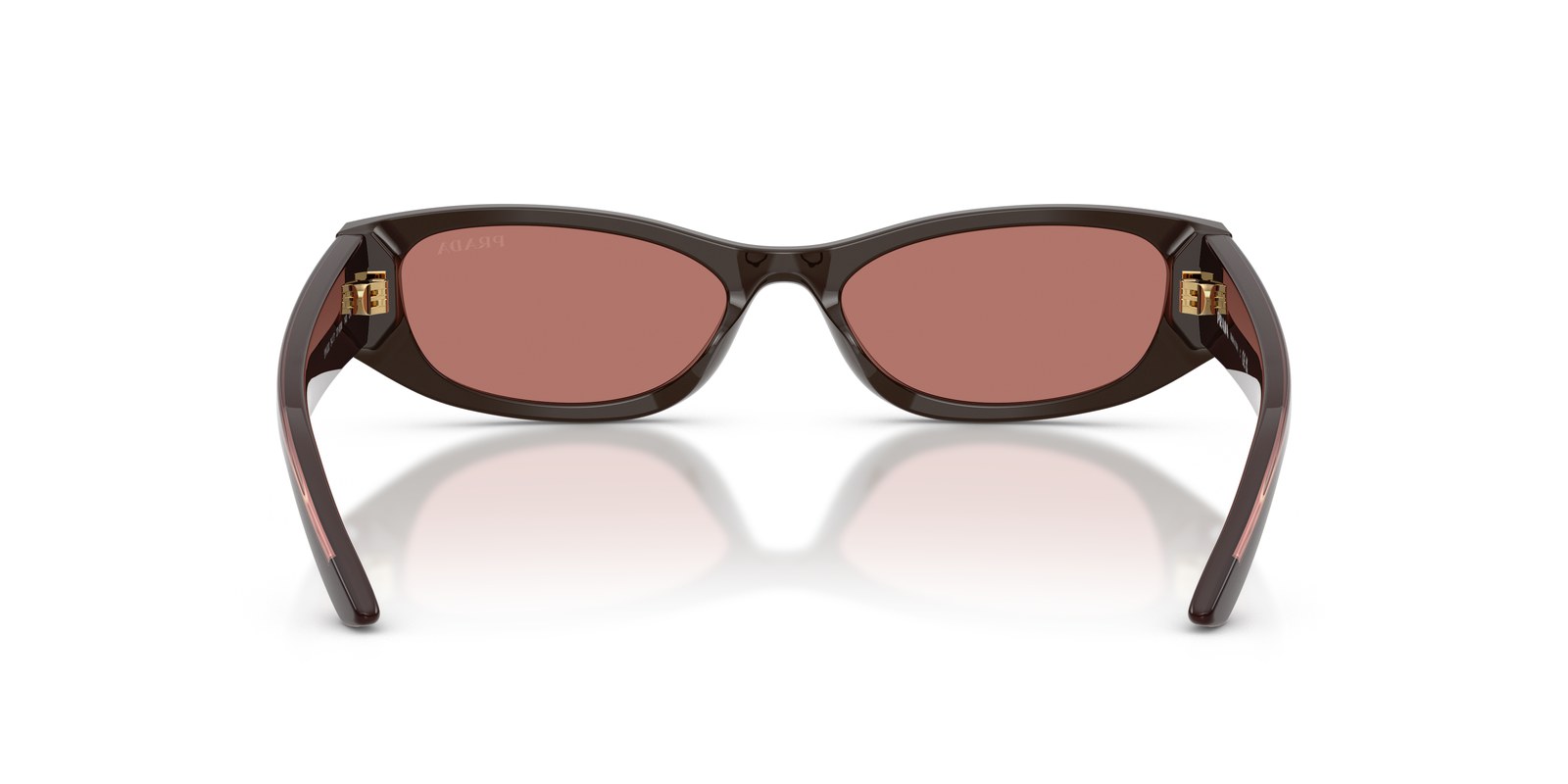 Prada PRD22S Cigar - Cigar - Ottica Scarpati