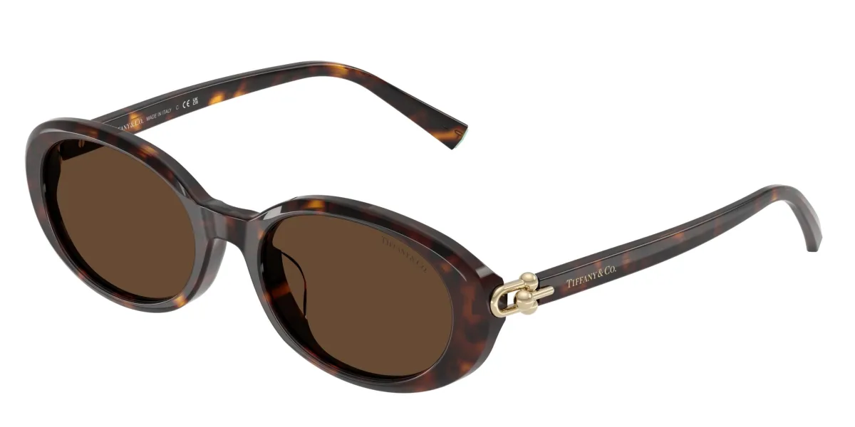 Tiffany & Co. TF4242D havana 80153G