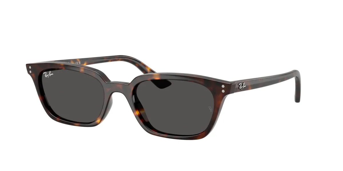 Ray-Ban Zaya Bio-Based RB4456 havana 135987