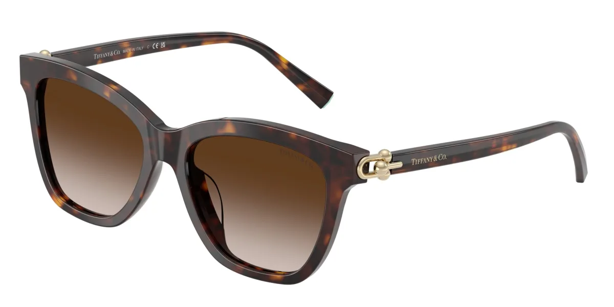 Tiffany & Co. TF4241D havana 80153B