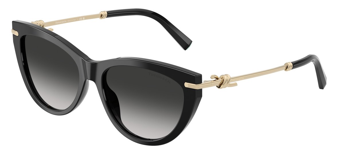 Tiffany & Co. TF4253 Nero