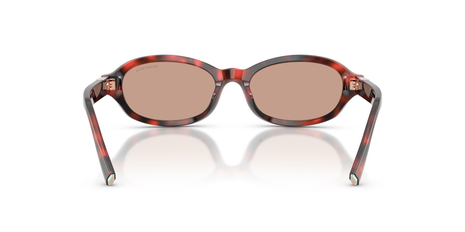 Tiffany & Co. TF4270U Havana Rubino - Havana Rubino - Ottica Scarpati