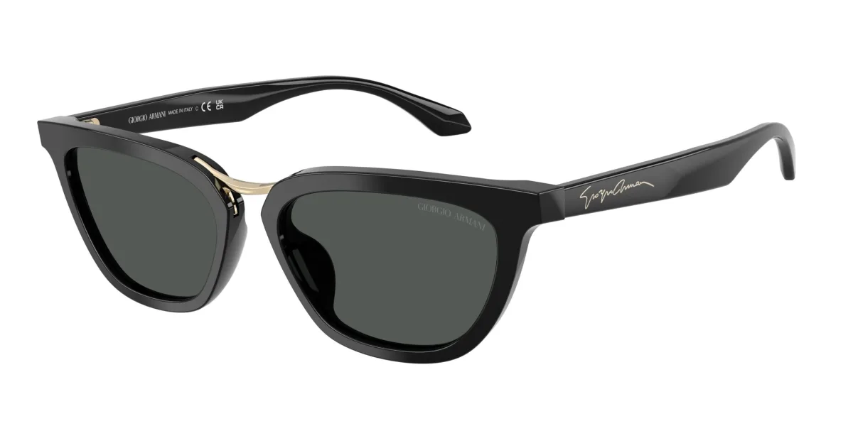 Giorgio Armani AR8253U nero 501787